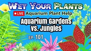 Aquarium plant questions? Planted tank help for all (Wet Your Plants 101)