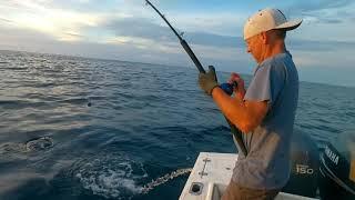 Red Snapper Catching (with underwater footage)