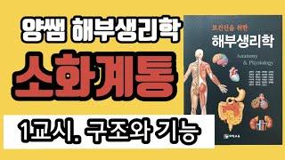 [해부생리학] 1교시. 소화계통 / 구조와 기능