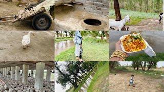 Full Day in my village |Hmara abai gaon|poltry farm in my village 🫶