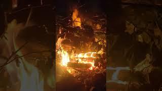 Рыбалка Топ! Рыбалка в России. Рыбалка с гидом