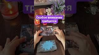 особое внимание требуется️ #таро #онлайнгаданиеналюбовь #tarot
