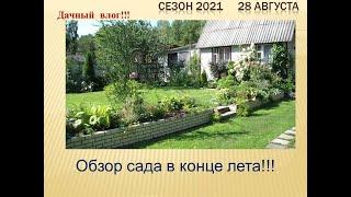 Обзор сада в конце лета 2021 года!