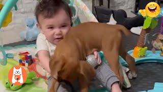 Videos Graciosos de Perros y Bebés  Bebés y Cachorros Creciendo Juntos #5 | Espanol Funniest Videos