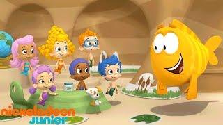 Bubulle Guppies | Les grenouilles | NICKELODEON JUNIOR