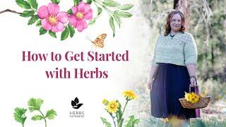 How to Get Started with Herbs