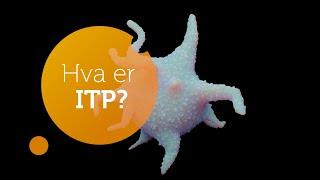 Hva er ITP? Doktor Waleed Ghanima forklarer hva ITP er