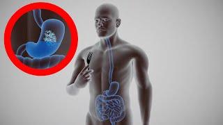 The DIGESTIVE SYSTEM explained: how it works and its parts. Digestion of food‍