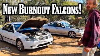 We Bought Ford Falcon Burnout Cars! Entered Our First Burnout Comp!