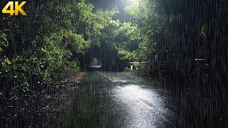 Relaxing Rain with Thunder | Rainy Nights on the Forest Road are the KEY to a Peaceful Sleep