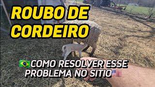 COMO RESOLVER ESSE PROBLEMA  |  SITIO NA GRINGA | VIDA NA AMERICA