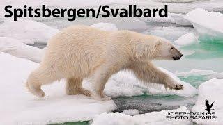 Spitsbergen/Svalbard Photo Tour