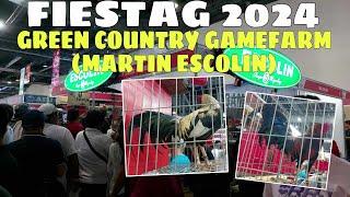 FIESTAG 2024 | GREEN COUNTRY GAMEFARM (Martin Escolin) || BALERIANS GAMEYARD