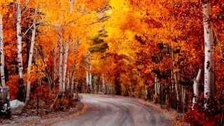 Нереально красивая осень!   30 моментов осени
