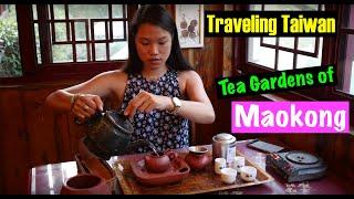 【Traveling Taiwan】The Tea Gardens of Maokong【旅遊台灣】貓空茶園