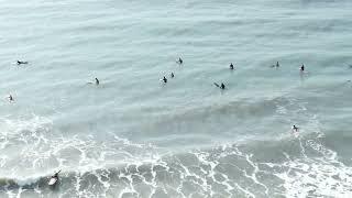 서핑에 성지 / 서핑 강습 / 부산 송정 해수욕장 봄 서핑 South Korea Busan Songjeong Beach Spring Surfing