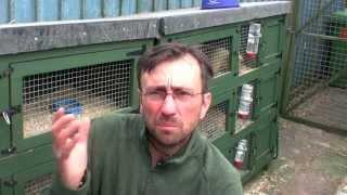 Shooting Times: Simon Whitehead on breeding ferrets