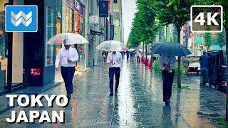 [4K] HEAVY RAIN in TOKYO JAPAN  2024 Kyobashi - Ginza - Tokyo Station Walking Tour - ASMR Sounds