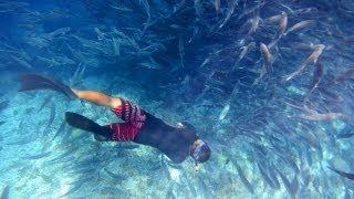 Snorkeling in Sipadan Island