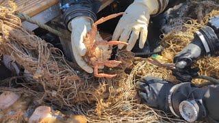 Clearing the Ocean of Ghost Gear | dryrobe® x Ghost Fishing UK
