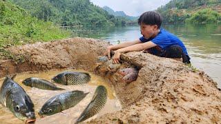 Creating a fish trap next to the lake, the orphan boy harvested many big fish