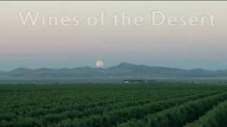 WEBISODE | Wines Of The Desert | New Mexico PBS