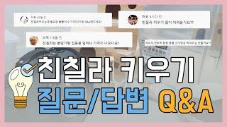 친칠라 키우기 Q&A! 용품, 가격, 해외직구 등등