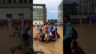 dhaka New market