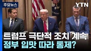 하버드, 로펌, 연예인 줄줄이 조준...트럼프 비판은 유죄? / YTN