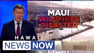 Amid housing crisis, Maui commission considers phasing out thousands of vacation rentals