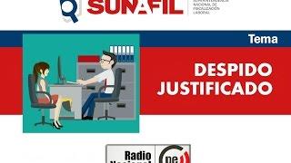 Causas del despido justificado - Sunafil