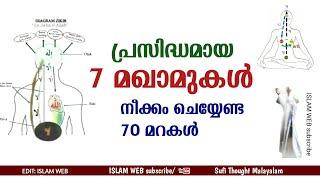 പ്രസിദ്ധമായ 7 മഖാമുകൾ | നീക്കം ചെയ്യേണ്ട 70 മറകൾ | Sufi Thought Malayalam | Islamic speech Malayalam