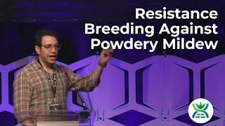 Cannabis Landraces & Exotic Germplasm as a Great Source for Resistance Breeding Against Powdery Mild