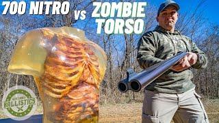 700 NITRO vs ZOMBIE TORSO ‍️ (World’s Biggest Elephant Gun)