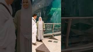 spolier umrah mandiri plus turki #umrahmandiri #umrahplusturki