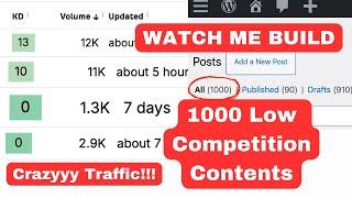 Insane Traffic: 1000 Low Competition and High Search Volume Keywords