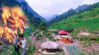 BIG FIRE! Build a SUSTAINABLE House, Find The CAUSE why the Vegetable Garden is Destroyed At Night