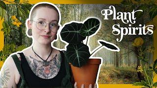 Plant Spirits: How to connect with them physically, spiritually and mentally