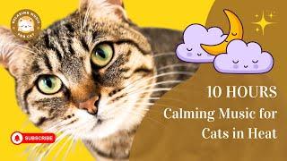 Calming Music for Cats in Heat 10 Hours  Relaxing Music for Cat 