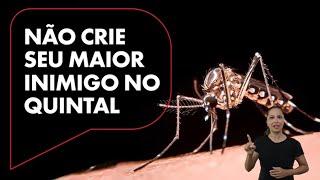 Campanha do Estado de SP alerta contra mosquito da dengue: 'qual o animal mais perigoso do mundo?