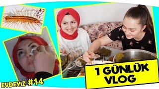 Bir Günlük Vlog | Karantina Günlükleri #14 | Hem çok eğlenceli, hem çok zorlu bir gün oldu!!