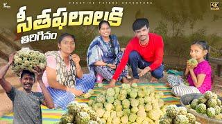 Fruits Hunting  In my village hill | Shree Videos 4K