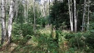Прощание с летом!!!! #65