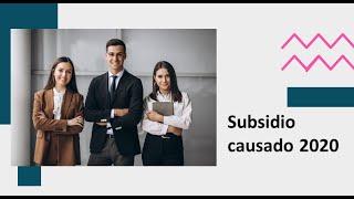 Curso subsidio al empleo 2020