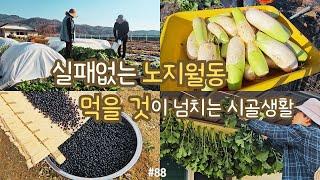 sub)How to winter without failure in the countryside, perennial flowers, vegetables, making soy milk