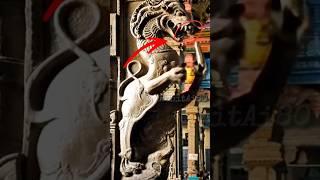 Living Statue idol's  #shortsfeed #shorts #opticalillusion #ancient #illusion #temple #god #yt