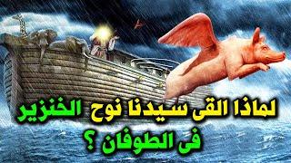 قصة الخنزير مع نبي الله نوح ، ممن خلق الله الخنزير ولماذا القاه سيدنا نوح في الطوفان ؟ قصة مبكية