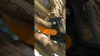 Телескопический сучкорез о компании Fiskars в действии