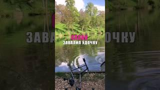 ПОДРЯД 2 ПОКЛЕВКИ сазана и карпа. #карпфишинг