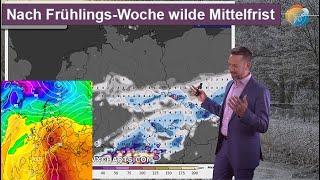 Eine Woche Frühling & gut 20°. Danach wilde Mittelfrist mit 25°- und Schnee-Optionen 2. März-Hälfte.